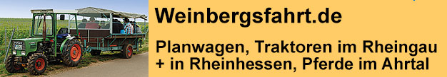 Weinbergsfahrt mit Planwagen und Traktoren im Rheingau und in Rheinhessen - mit Pferden im Ahrtal